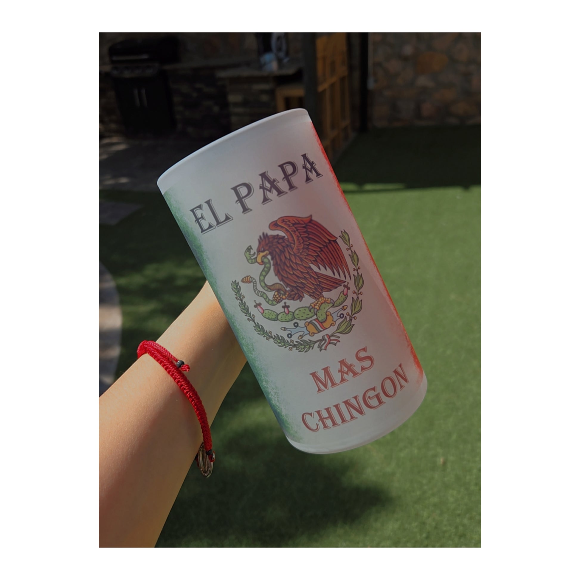 Mexican Beer Frosted Mug
