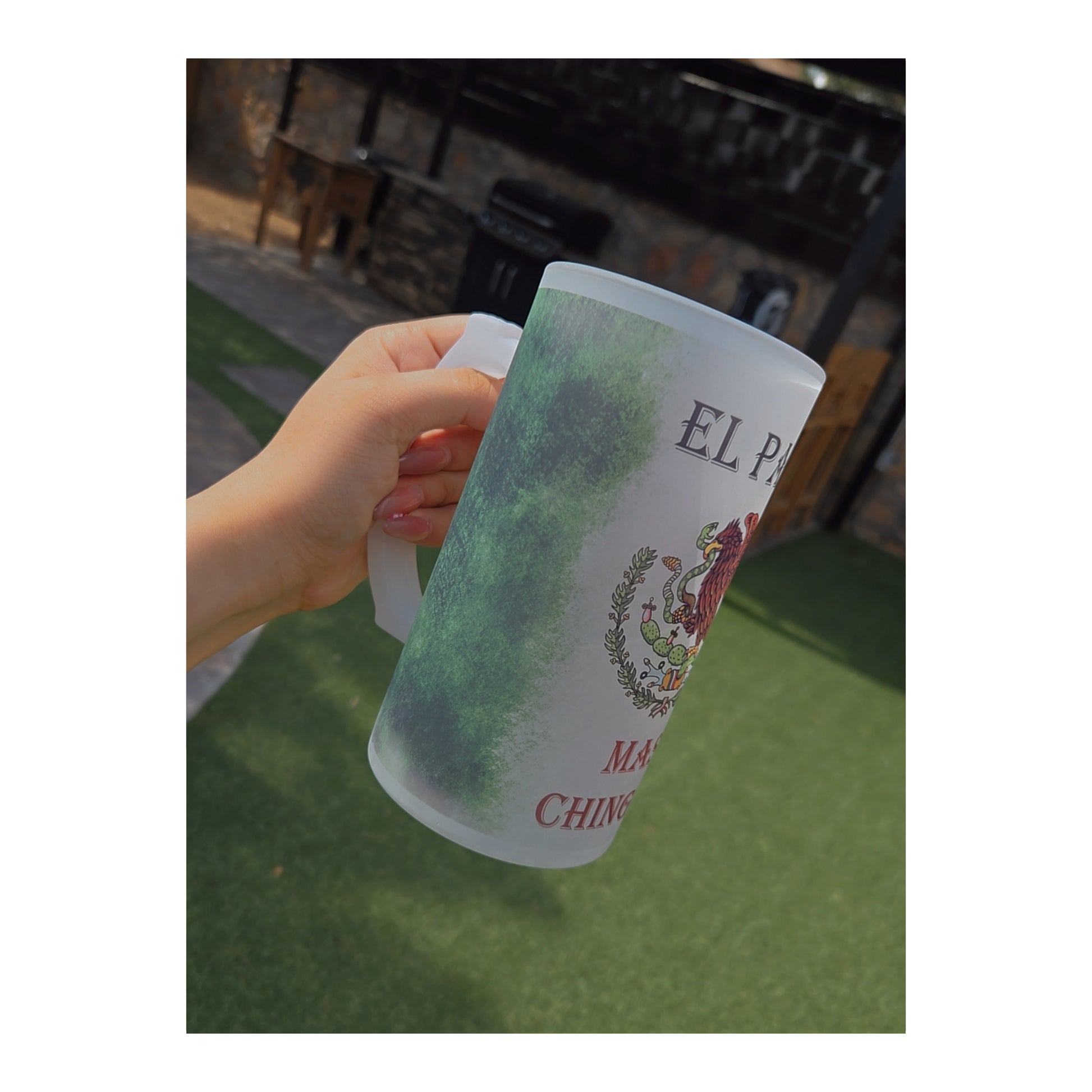Mexican Beer Frosted Mug