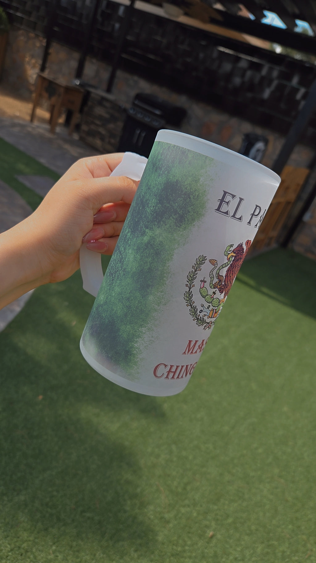 Mexican Beer Frosted Mug