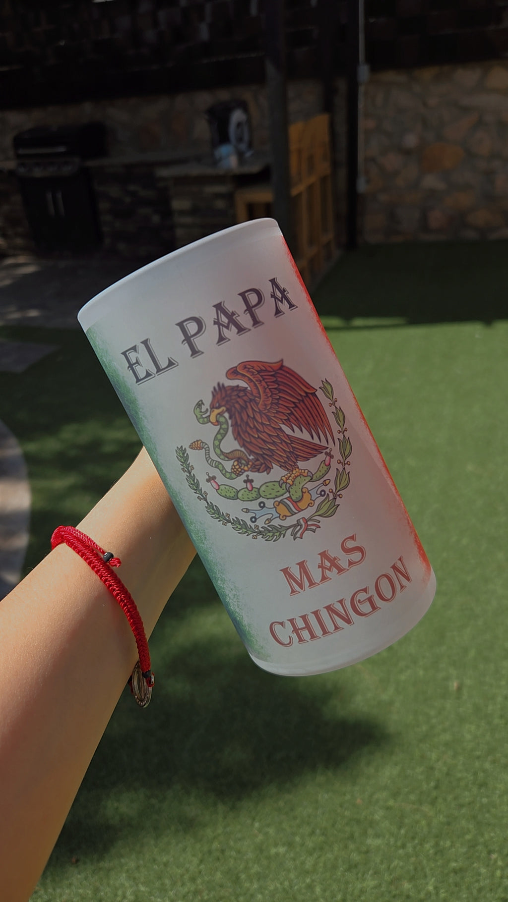 Mexican Beer Frosted Mug