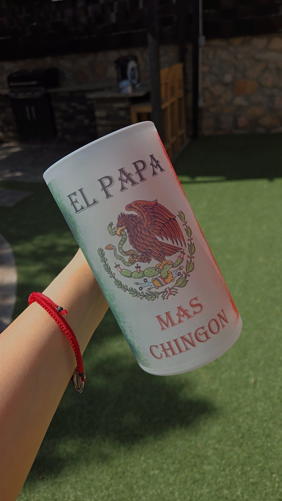 Mexican Beer Frosted Mug