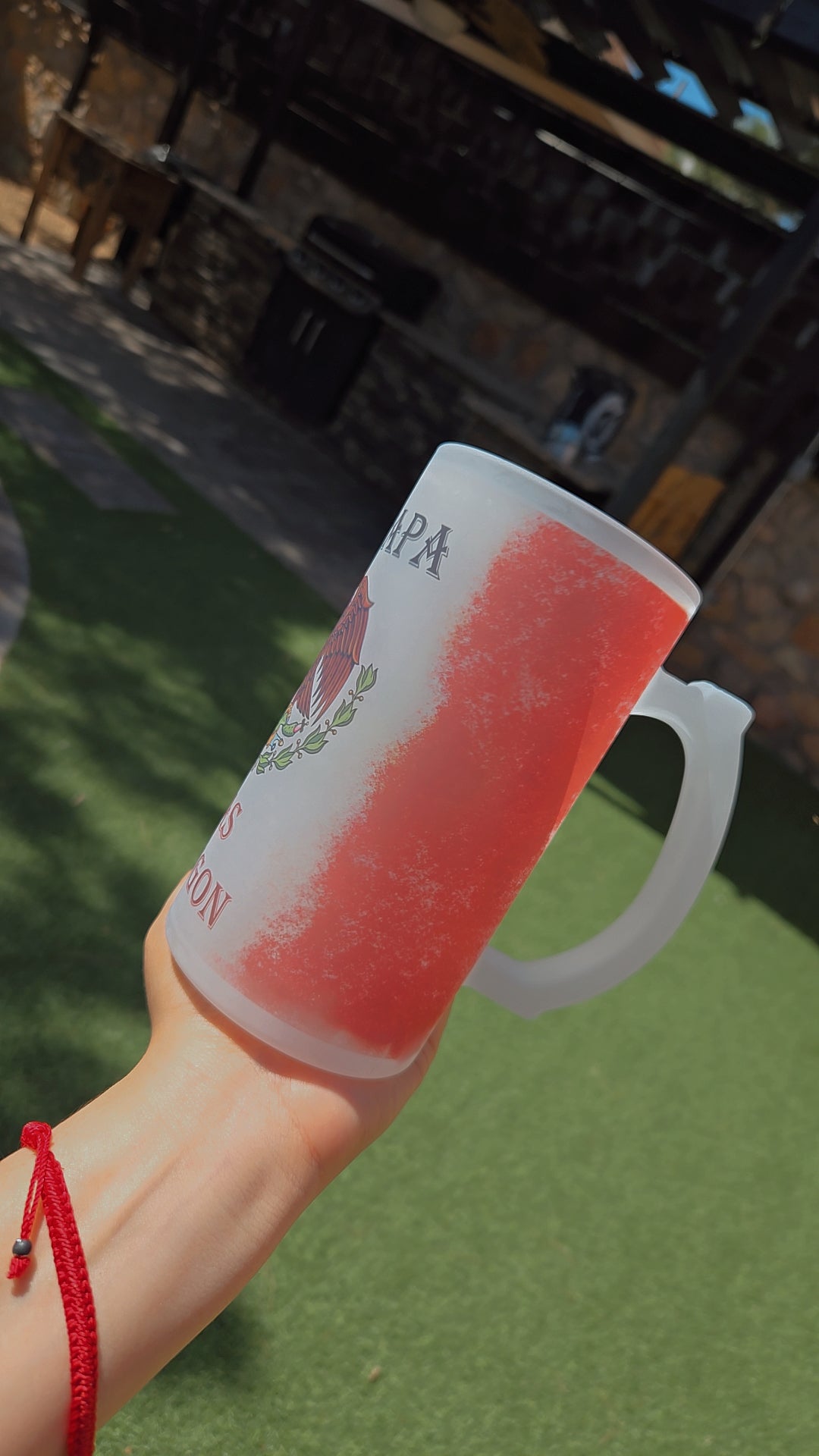 Mexican Beer Frosted Mug