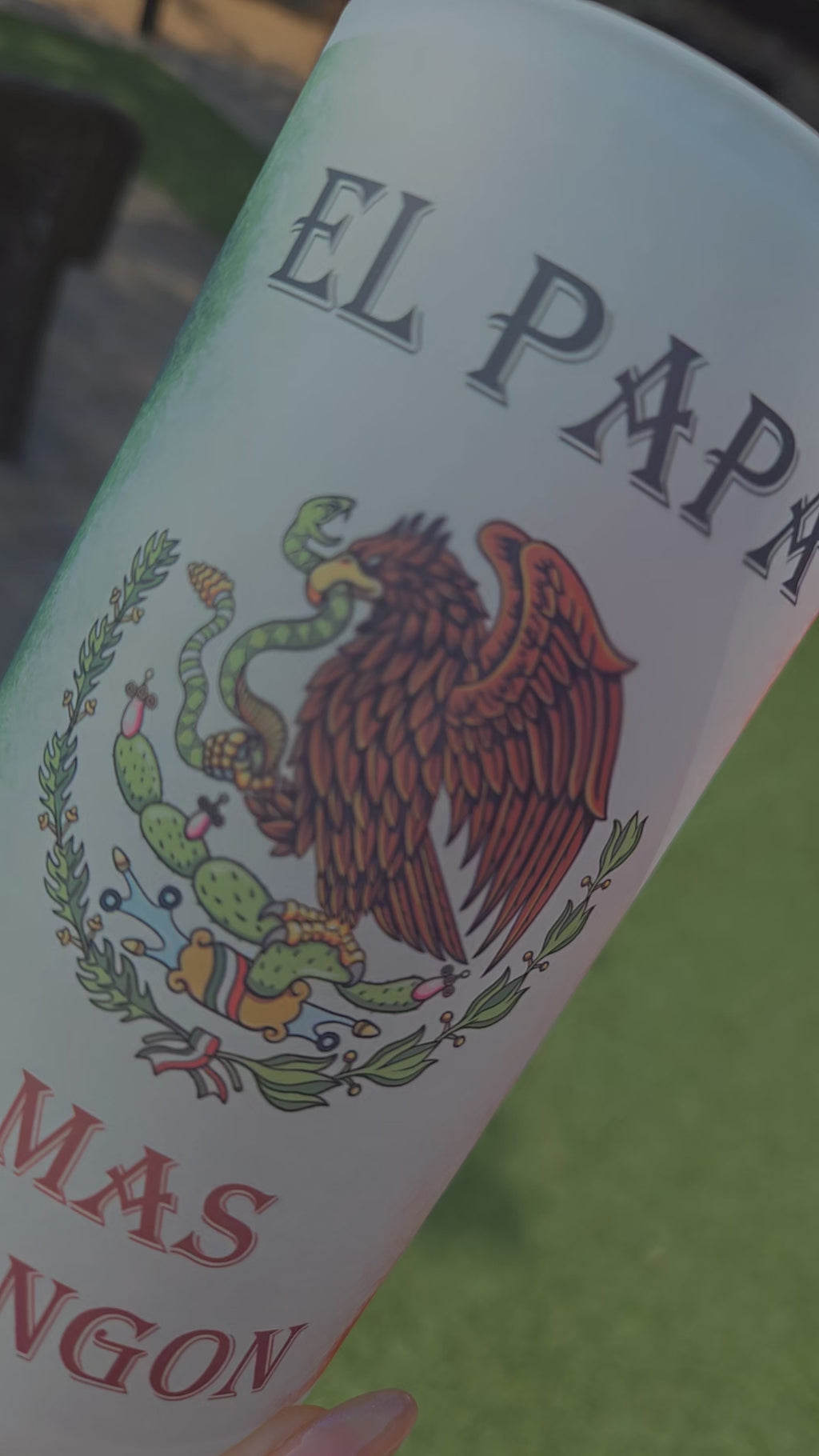 Mexican Beer Frosted Mug