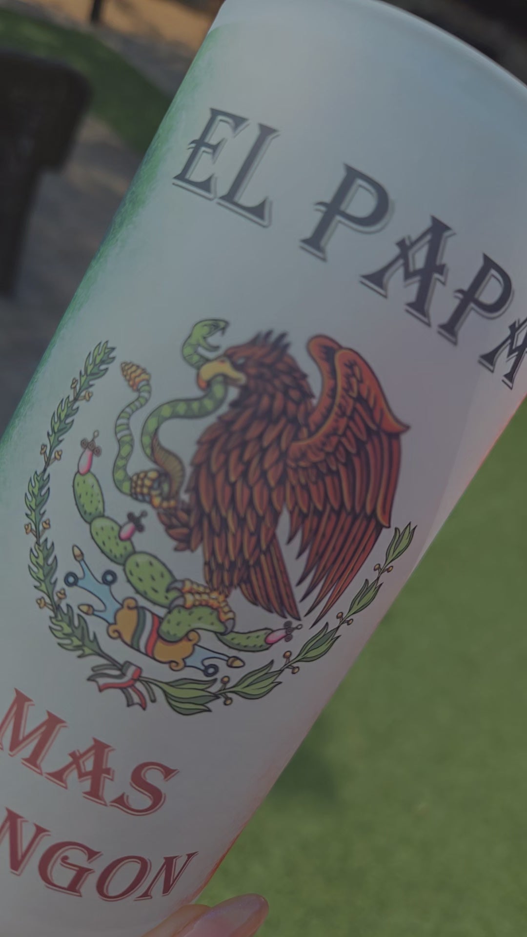 Mexican Beer Frosted Mug
