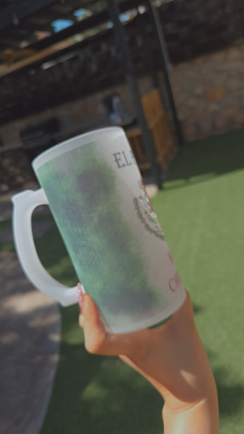 Mexican Beer Frosted Mug